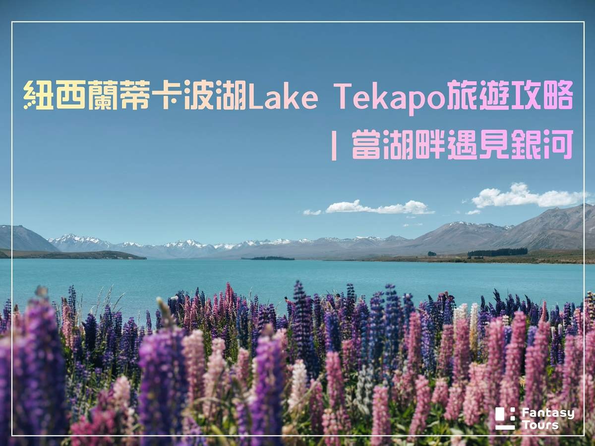 紐西蘭蒂卡波湖Lake Tekapo旅遊攻略｜當湖畔遇見銀河